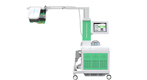 10d Max Laser Body Slimming Fat Loss Ems Equipment Green Color Laser Weight Loss Beauty Device