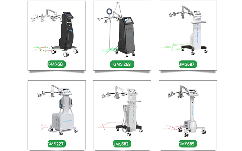10D Lipolaser slimming and physiotherapy machine