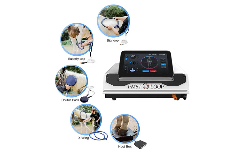 PEMF PMST Loop Pro Max