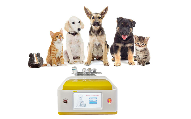 980nm Laser-Veterinary
