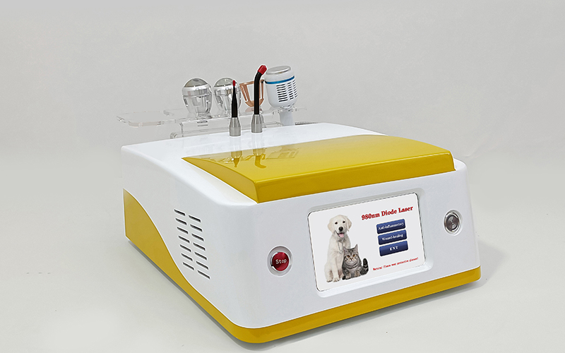 980nm Laser-Veterinary
