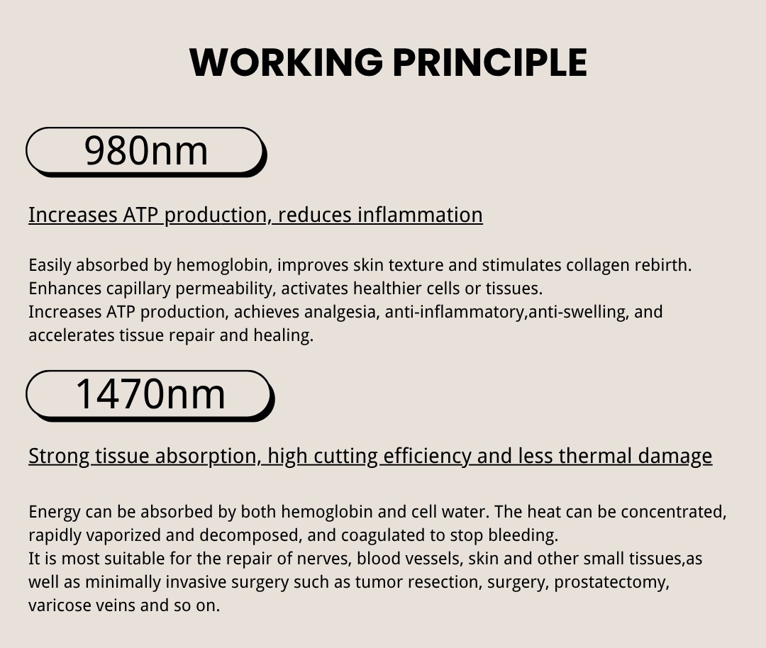 prismalift working principle