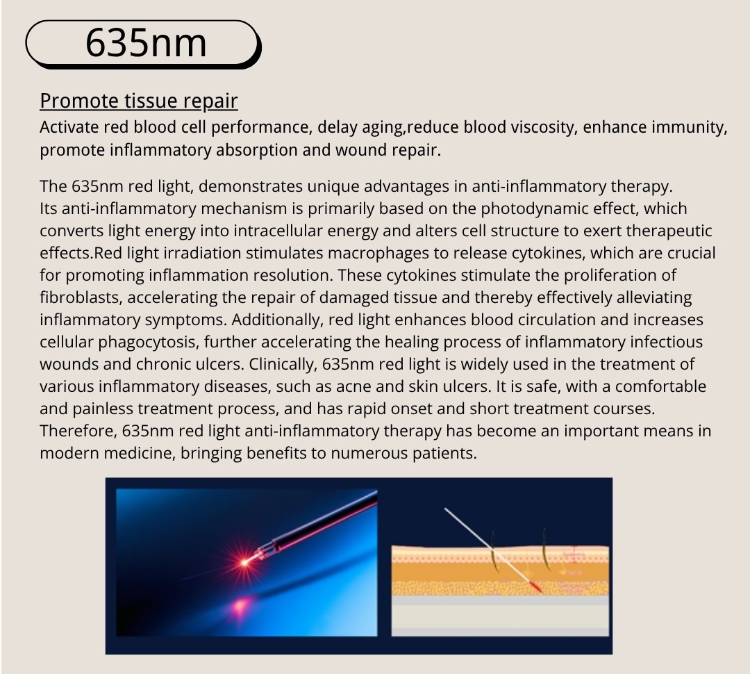 endolifting laser face beauty body lipolysis weight loss evlt hemorrhoids laser